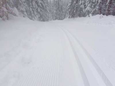 Trasy biegowe na Kubalonce